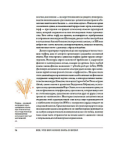 Love&Whiskey. Whisky. Przewodnik po świecie wolności, kultury i koktajli